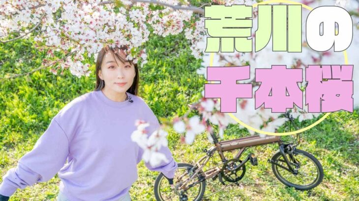 【ミニベロ輪行】荒川に桜咲く冬眠明けサイクリング！ORI!ORI!ORIBIKE