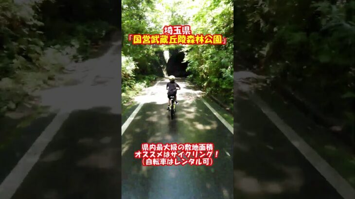休日の過ごし方～サイクリングが気持ちいい季節～　＃Shorts　＃あそび場　#森林公園　#埼玉県