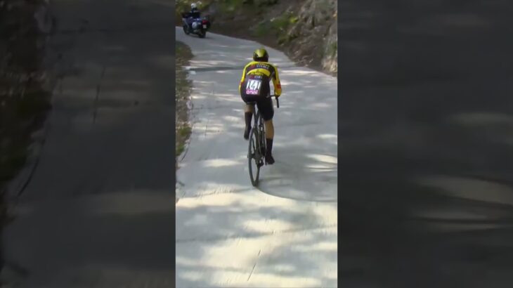 Technical problem for Roglic 🛠️ #giroditalia2023 #procyclist #cycling #roglic #giroditalia