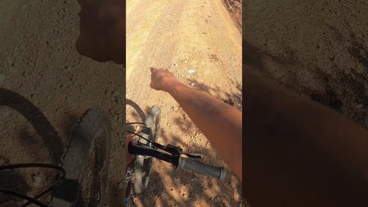 Tentei descer um morro no grau pé no banco de vikingx! #bike #viral #shorts  #grau #humor #mtb