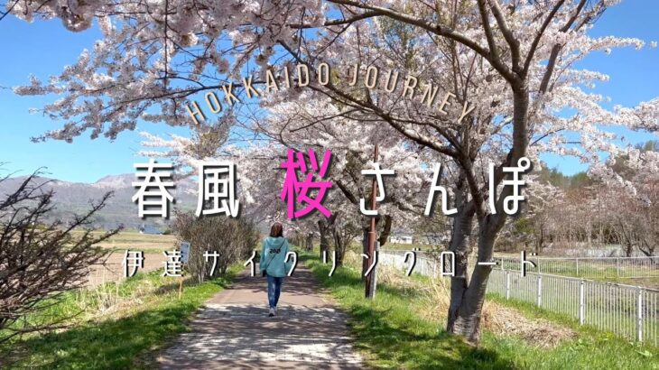 【伊達】春風桜さんぽ【北海道】伊達サイクリングロード