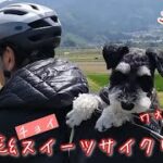【サイクリング】ワンコと一緒に菜の花&チョイスイーツの旅〜