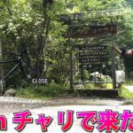 京都で一番人気のヒルクラと府民絶賛のハンバーグを求めて自走60kmサイクリング