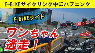 E-BIKEライドでハプニング！わんこ逃走！  #サイクリング #ebike #泉南ロングパーク