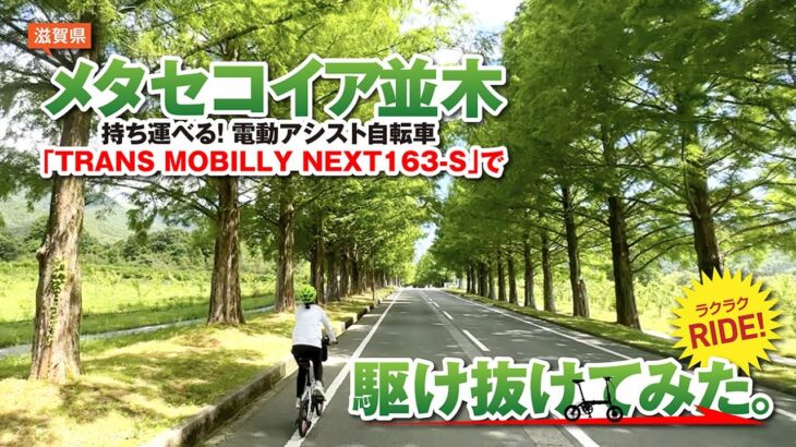 【滋賀県・メタセコイア並木】持ち運べる電動アシスト自転車TRANS MOBILLY NEXT163-Sで駆け抜けてみた。