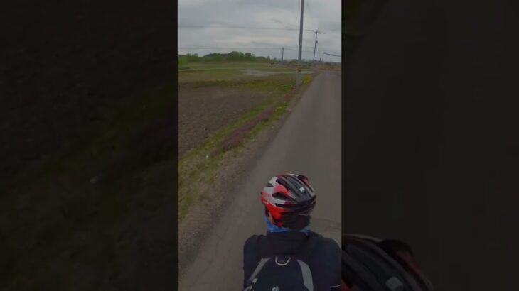 サイクリング動画 #insta360 #ロードバイク #北海道 #スコット #景色