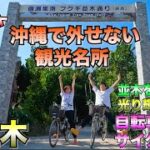 【沖縄観光】おすすめ!!まるで異世界!!ふくぎ並木サイクリングしたら絶景すぎた。