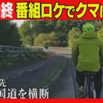 番組ロケでクマに遭遇　自転車で走行中に国道横断　撮影中断し車で避難　札幌テレビ撮影班