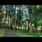 小金井公園サイクリングコース 1440/60fps