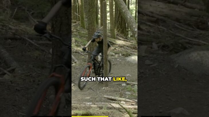 A classic take on what a trail bike is