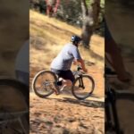 Lowrider Mountain Bike