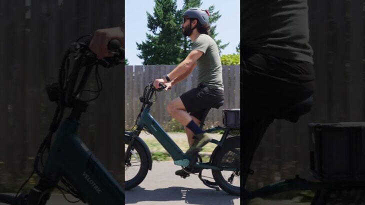 NEW COMPACT CARGO BIKE! Take an deeper look at the NEW VELOTRIC GO 1 #ebike #velotric