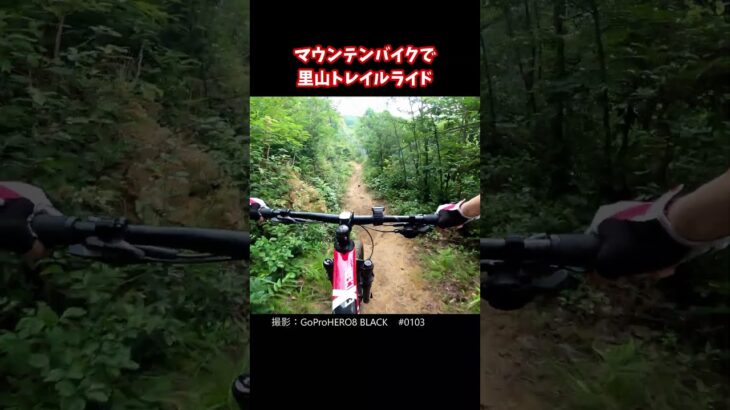 マウンテンバイクで里山トレイルライド【Trail Riding with Mountain Bike】0103　#Shorts