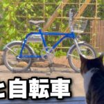 海辺の街で猫を探しながらサイクリング。小さいのに100㎞走れるおしゃれな電動アシスト自転車【wimo　COOZY】