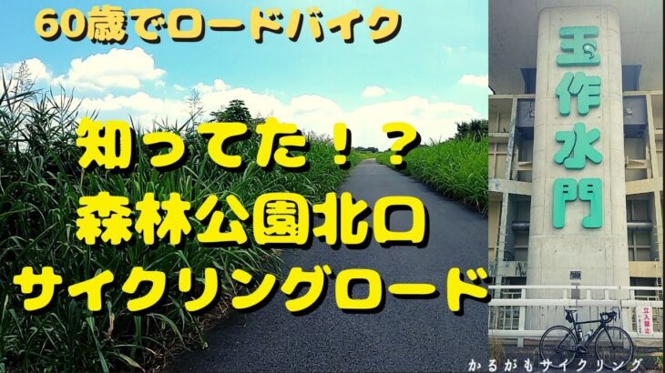 【ロードバイクゆるぽた】知ってた！？森林公園北口サイクリングロード