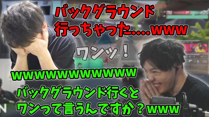 謎壁からの犬の鳴き声でツボにはまってしまうスパイギア【2022/06/26】【スパイギア切り抜き】