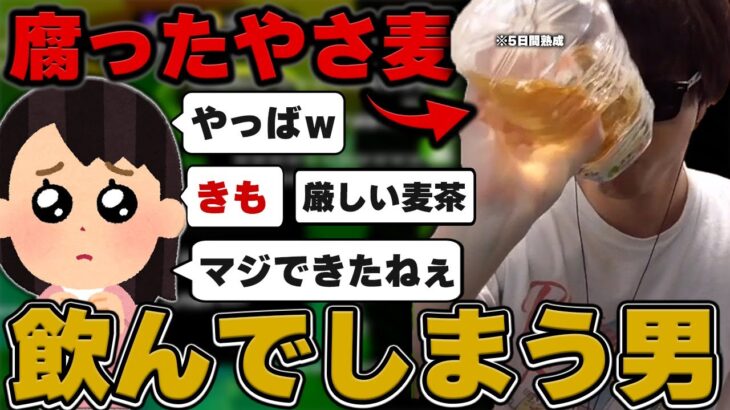 【悲報】おにや、真夏に5日間熟成された腐ったやさ麦を飲んでしまう・・・『2022/8/15』 【o-228おにや 切り抜き スプラトゥーン】