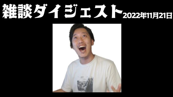 布団ちゃん 雑談ダイジェスト【2022年11月21日】「一杯飲んで寝る」