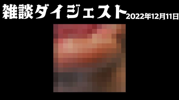 布団ちゃん 雑談ダイジェスト【2022年12月11日】「風呂上りにバアムと水をキメてから何か考える枠」