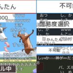 動物パズルに挑戦する布団ちゃん　2023/01/12