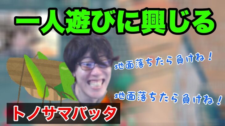 トノサマバッタはんじょう、謎の一人遊びに興じる【2023/2/16】