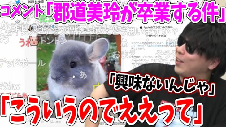 「郡道美玲関連のコメ」にブチギレた勢いで癒しの動物を見まくるもこう先生【2023/6/19】