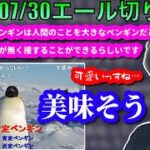 【布団ちゃんエール】警戒心0の南極のペンギンを見る布団ちゃん　2023/07/30