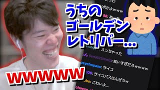 はんじょう、ペットの不幸話にガチ笑い【2023/07/10】