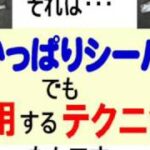 シーバスフィッシング｜オカッパリでも釣れる東京湾シーバス釣りの釣法