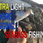 メタルマルとバスロッドで河口シーバス(セイゴ)釣り　Smallseabass fishing.　Ultralight shore jigging in Japan