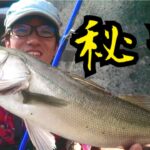 シーバス釣り (秘密の話)どうして釣れる！？ぶっちゃけ、ここだけの話ね。