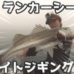 サーフィン×釣り＝ランカーシーバス　ＴＶ取材もきたよ♪