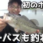 バス釣り　ボート釣行！４０upとシーバスが釣れた！