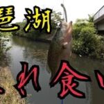 バス釣り琵琶湖遠征２日目　入れ食い！