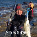 宮崎県 釣り納め 磯ヒラスズキ