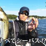 KC#1 「スピナーベイトでシーバスフィッシング!? in浜名湖」