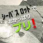 【ショアジギング】シーバスロッドでおかっぱりブリ❗