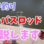 シーバスロッドでヘチ釣りは出来る？実釣、解説します。