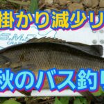 yasu シーバス&ナマズ&ニゴイ/スモールマウスバス釣り2017年9月blackbass fishing