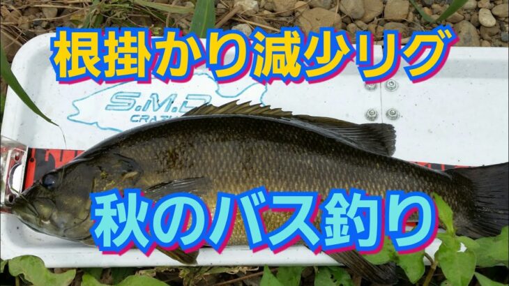 yasu シーバス&ナマズ&ニゴイ/スモールマウスバス釣り2017年9月blackbass fishing