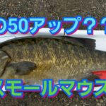 yasu 秋BIGスモールマウスバス釣り鮎&シーバス&ナマズ2017年9月bassfishing