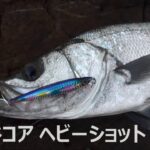 【初心者向け動画】 ヒラスズキの釣り方　シンキングペンシル編