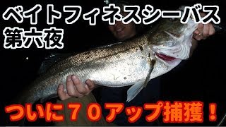 【東京湾奥】ＢＦＳシーバス第６夜　ついに７０アップ捕獲！　バスロッドで大型シーバスを釣り上げる