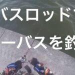 バスロッドでシーバスを釣る