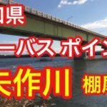 矢作川 棚尾橋  愛知県 シーバス釣りポイント