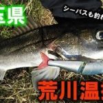 埼玉県 荒川温排水 バス釣り シーバスも釣れました(^^)/