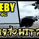 【NOEBY】これ本当にシーバスロッド？インプレ最中に今年初の獲物が…