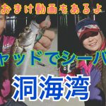 【シーバス】🐟バス釣りタックルとルアーで釣れ釣れ✨✨【福岡県】【北九州市】