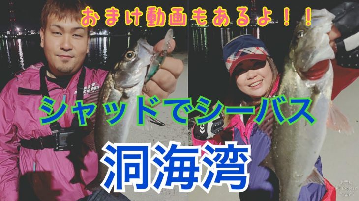 【シーバス】🐟バス釣りタックルとルアーで釣れ釣れ✨✨【福岡県】【北九州市】