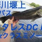 多摩川堰上 シーバス釣り アンタレスDCMD シーバス釣り バス釣り